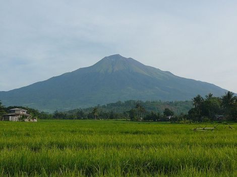 Mount Kanlaon towers above the sugar fields of Negros